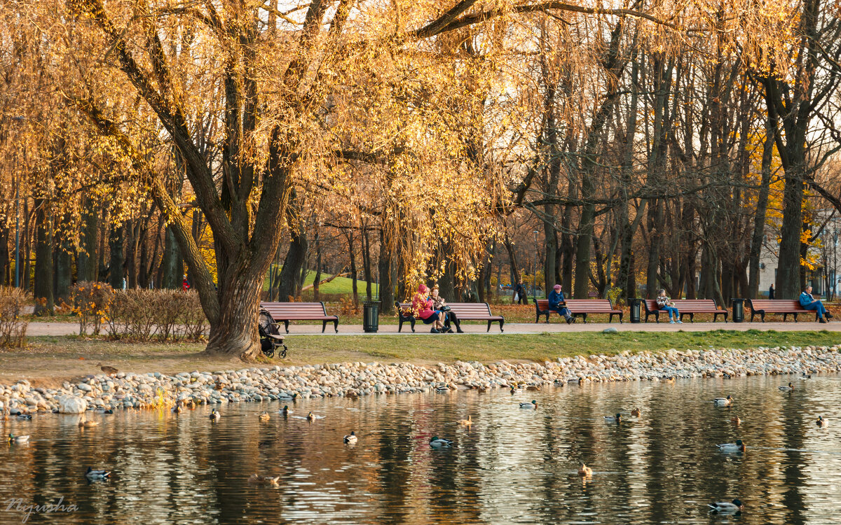 В парке - Nyusha .