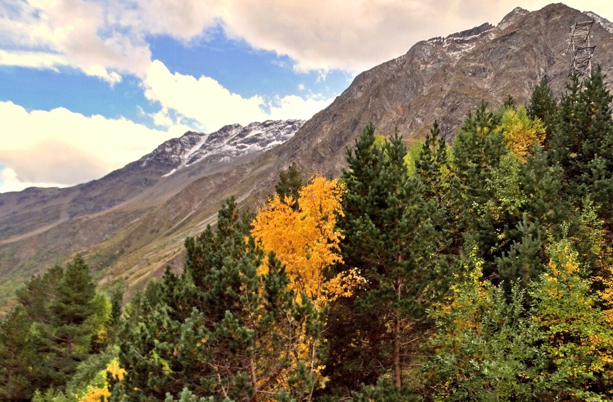 Осень в горах Кавказа - Александр Бойченко