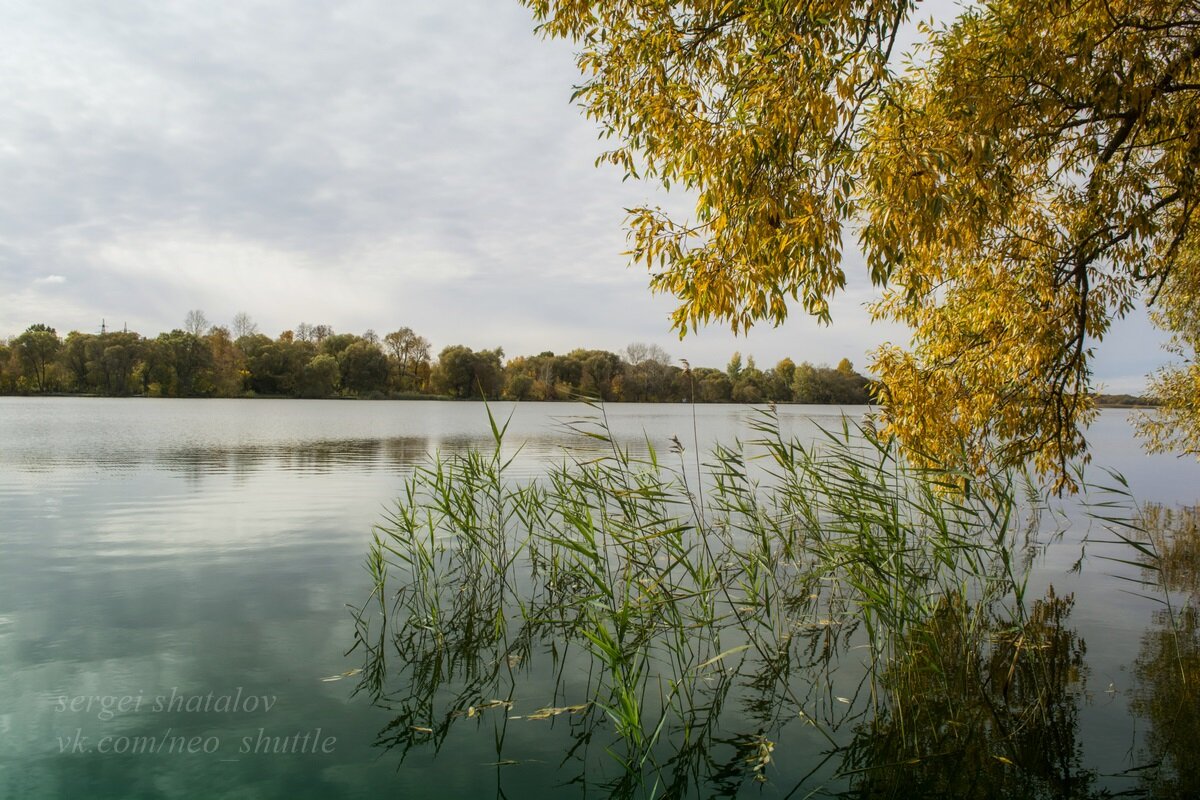 Осенний бриз на городском пруду - Сергей Шаталов