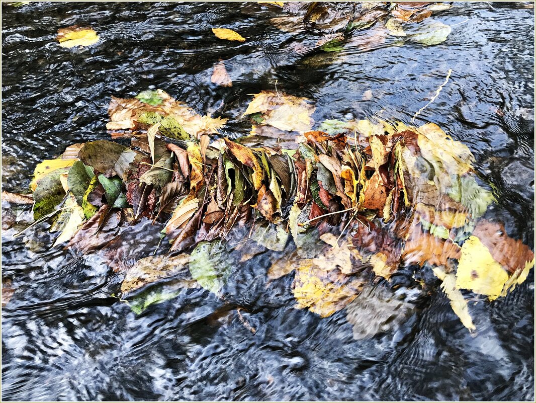 Осень в реке. - Валерия Комова