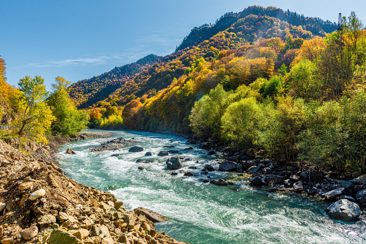 Кубань красивая картинка