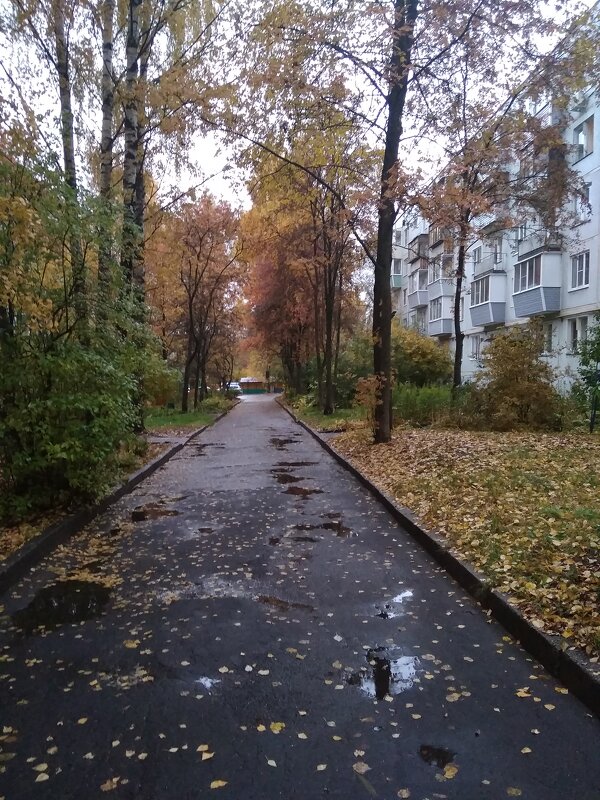 Осень - Галина 
