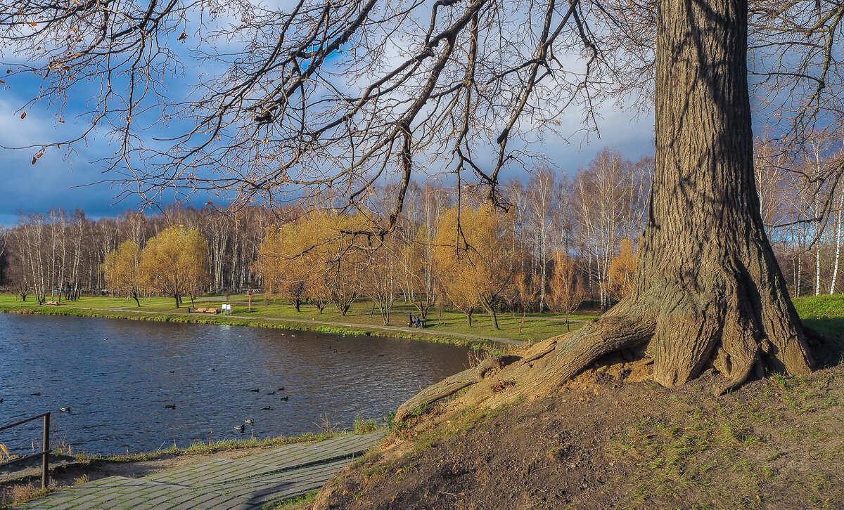 Пргулки в Осеннем Парке - юрий поляков