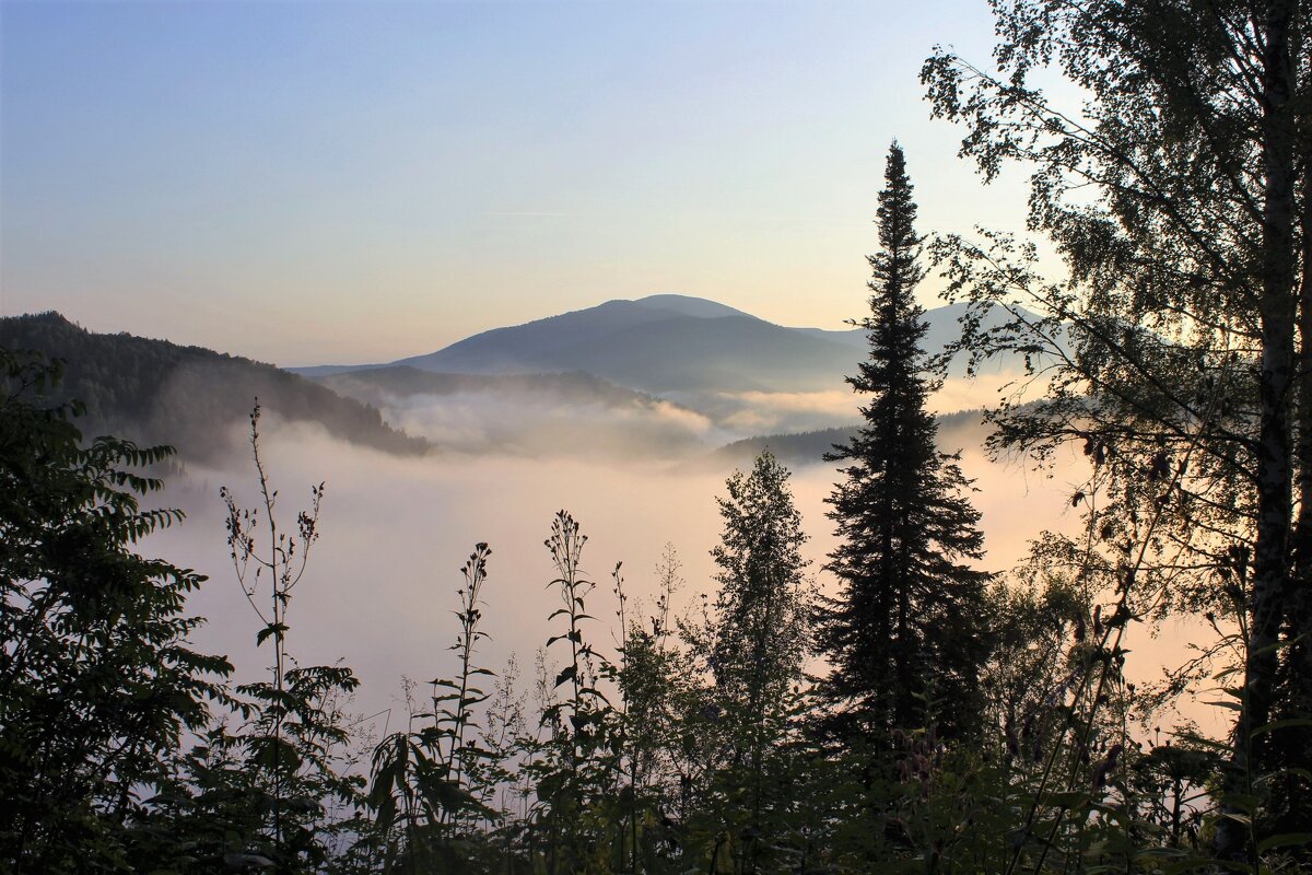 Утренний туман в долине - Сергей Чиняев 