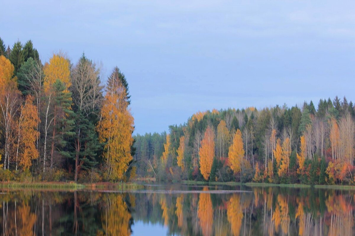 Осень на реке - Сергей Кочнев