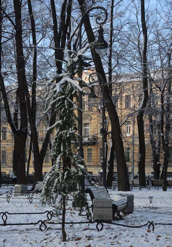 интерьер Румянцевского сада - sv.kaschuk 