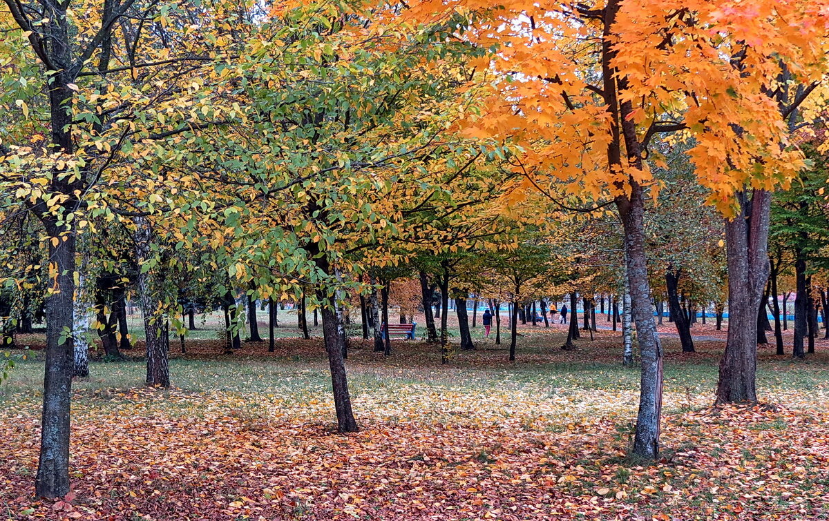 В осеннем парке - Liliya Kharlamova