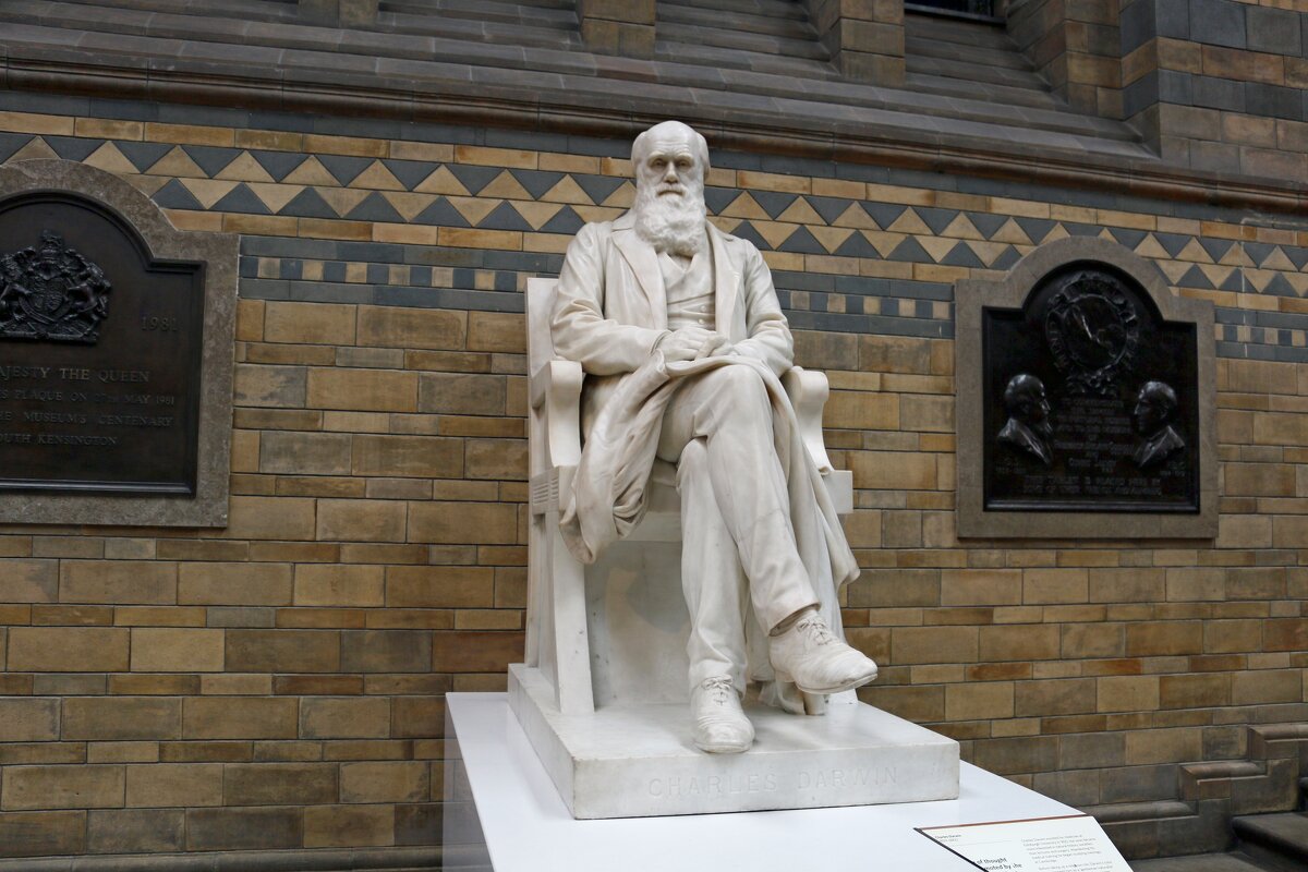 Памятник Чарльзу Дарвину в музее Естествознания - Ольга 