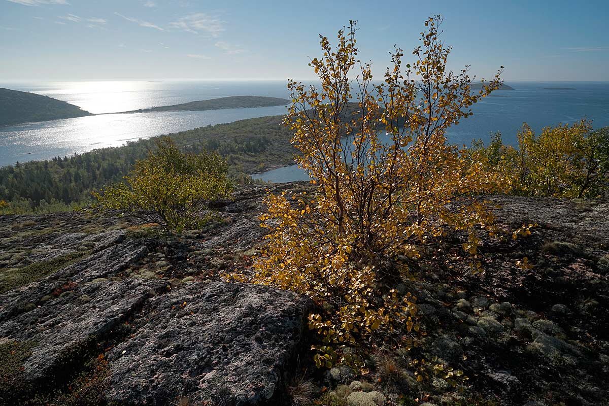 На острове Русский кузов - Сергей Курников