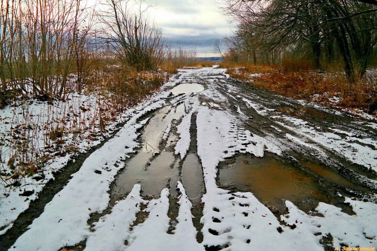 И первая пороша укрывает землю... - Андрей Заломленков