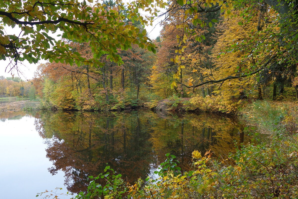 Золотая осень - Маргарита Батырева