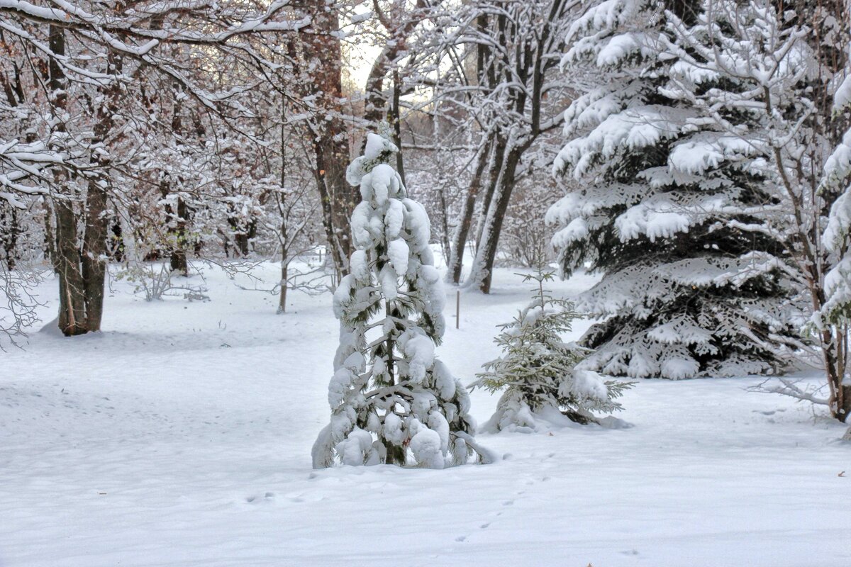 Первый снег первого ноября - Nina Karyuk