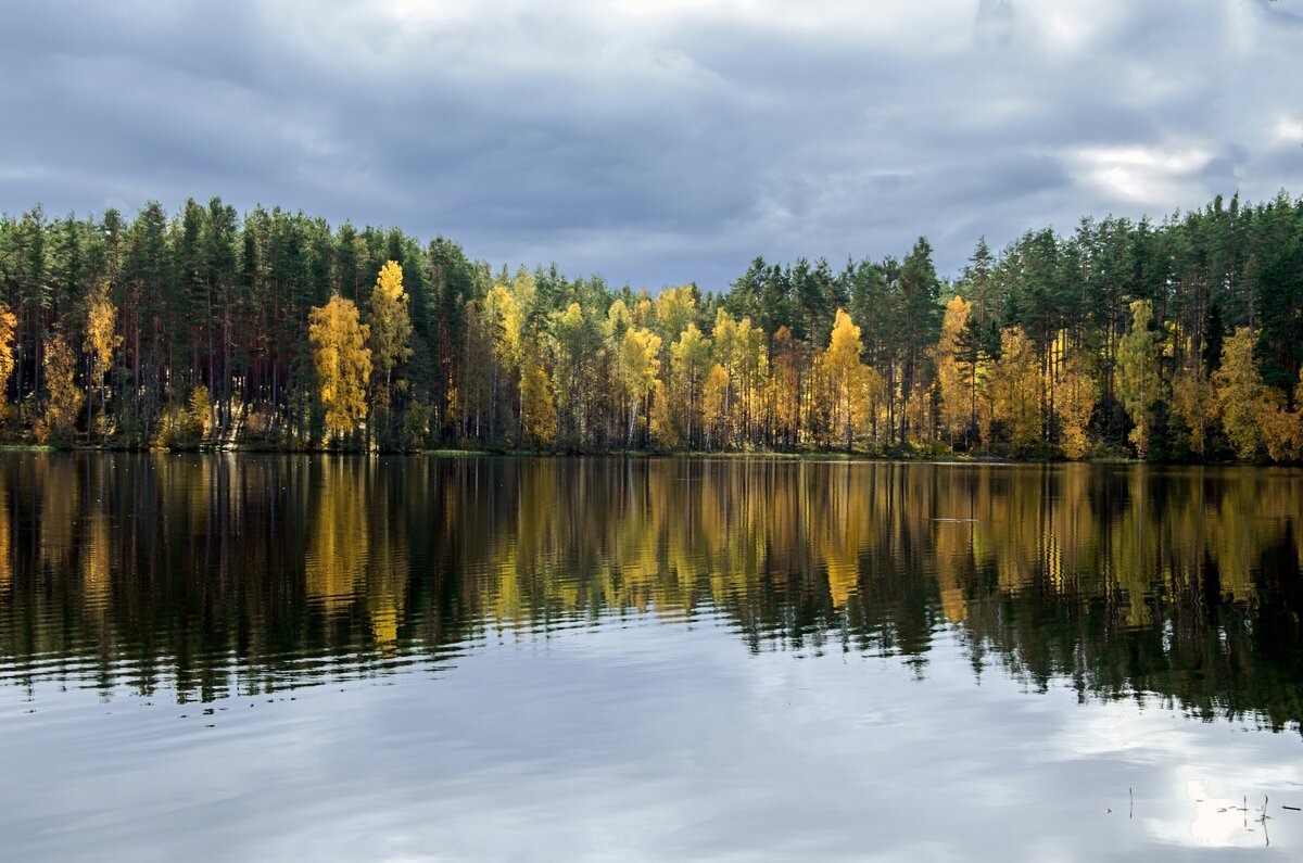 последний отбеслеск осени - shperl 