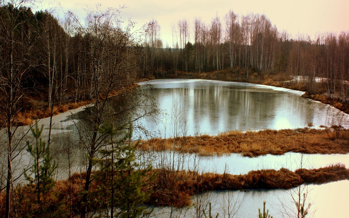 Первый лёд на реке... - Нэля Лысенко