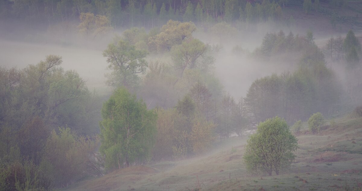Туманное утро - Руслан 