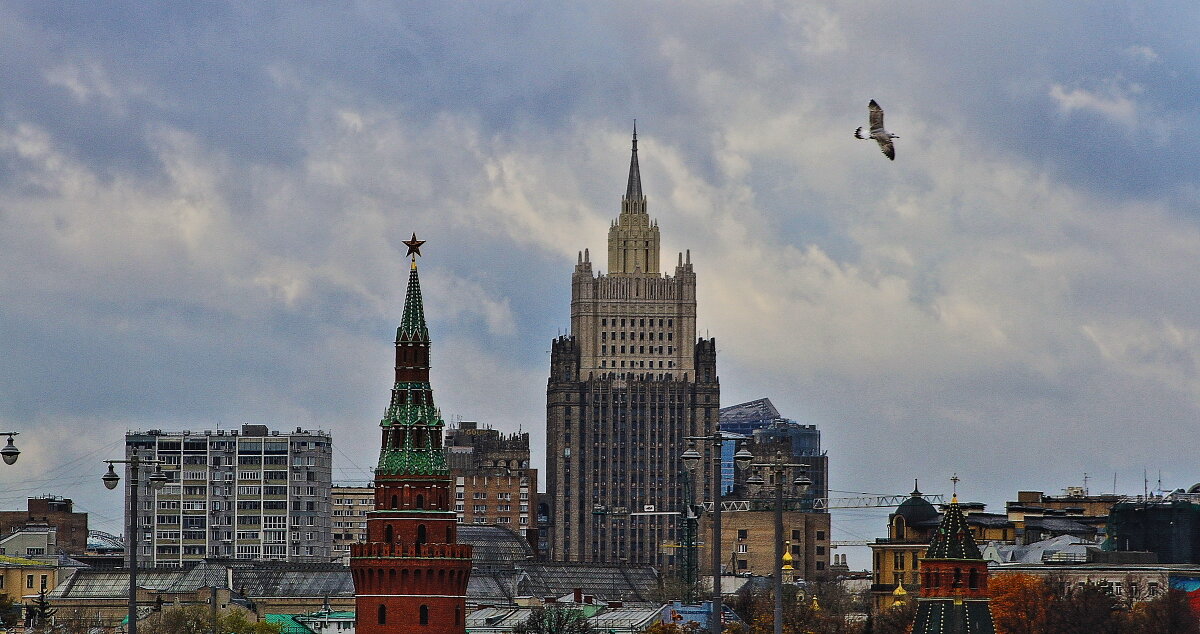 Парящая чайка над парящим мостом Зарядье - олег свирский 