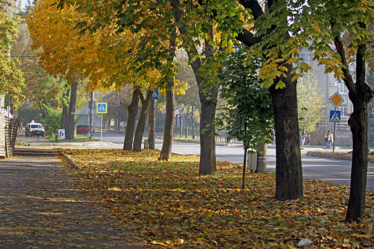 Осень на улицах города. - barsuk lesnoi