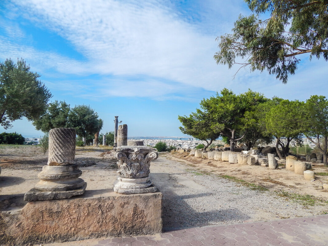 Тунис. Карфаген. Вид на город Кортаж с холма Бирса. - Лариса (Phinikia) Двойникова