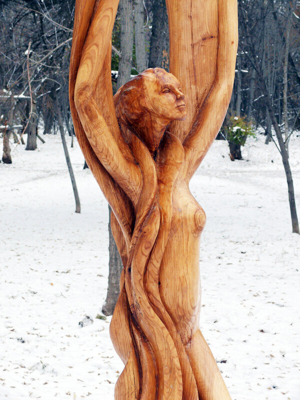Скульптура из дерева - Александр Алексеев