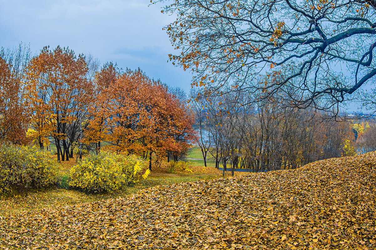 Осень в Коломенском - Игорь Герман