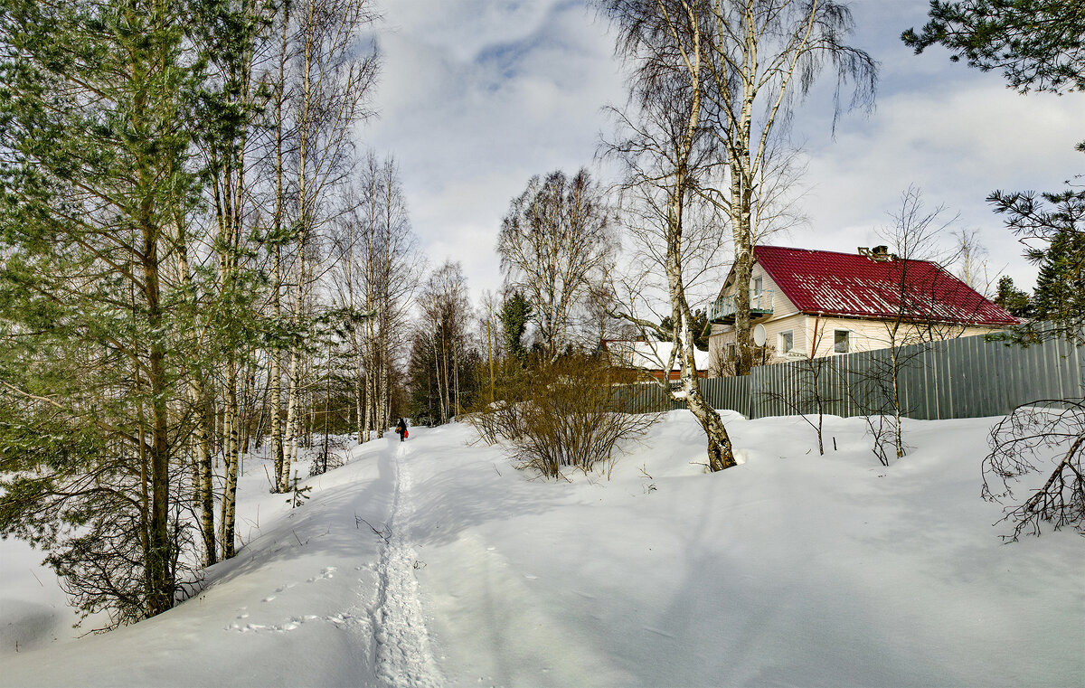 Зима - Андрей Бобин
