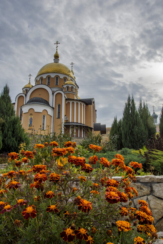 Свято-Алексиевский женский монастырь - Наталья Димова