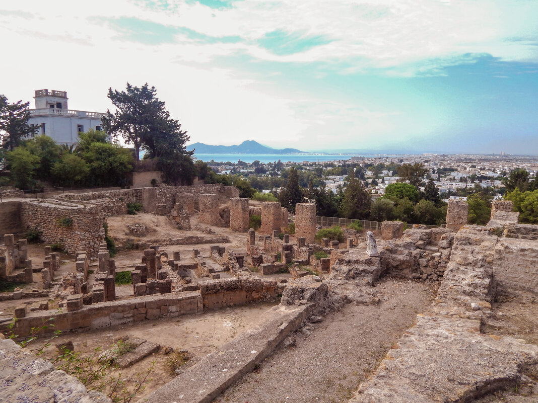 Тунис. Развалины Карфагена и вид на г. Кортаж. - Лариса (Phinikia) Двойникова