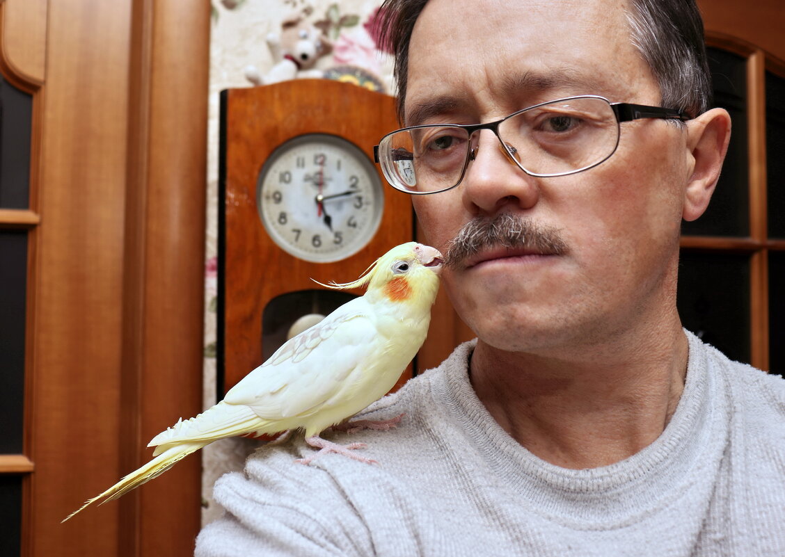 Я с моим храбрым попугаем Гришей. - Сергей Пиголкин