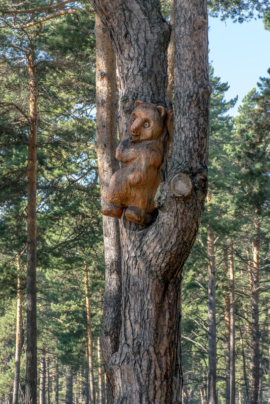 мишка на дереве - Юрий Борзов