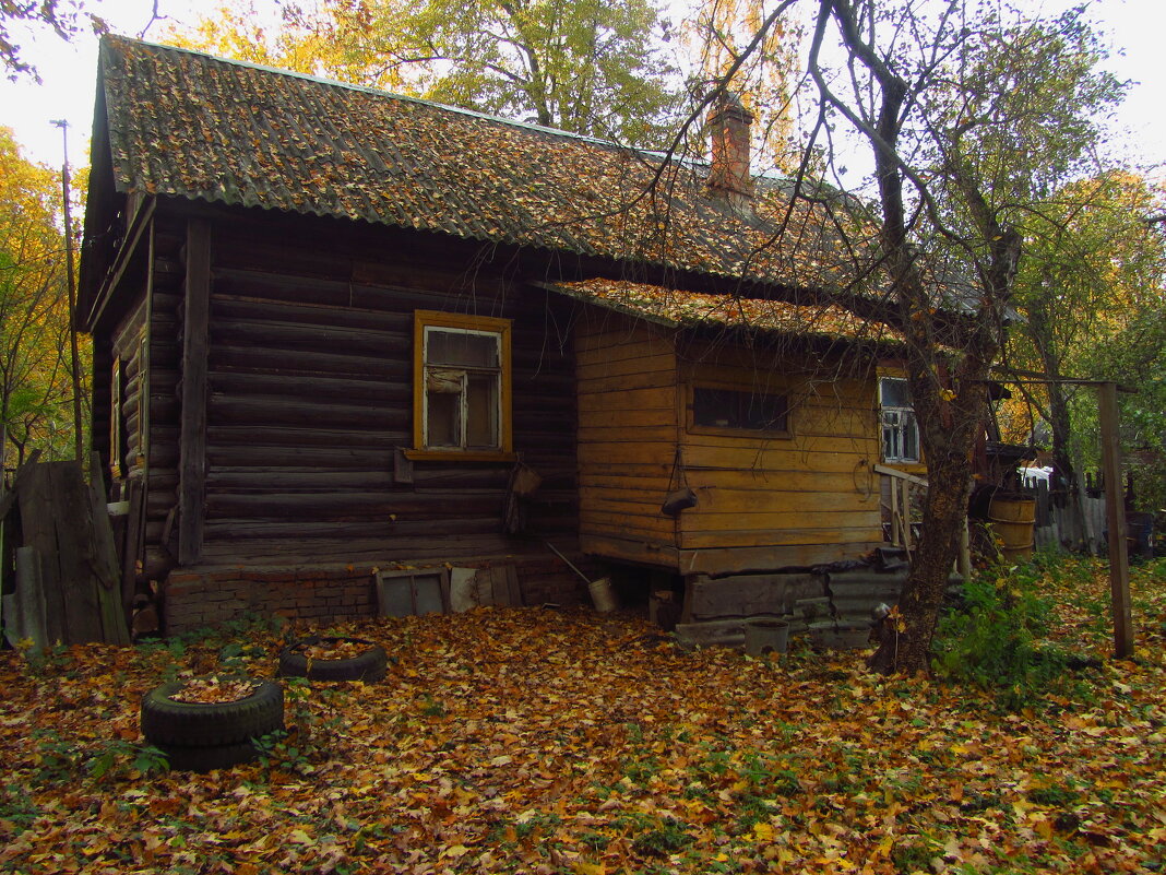 Домик в лесу - Андрей Лукьянов