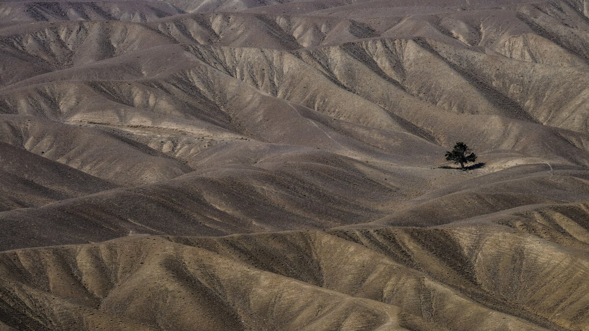 пустыня в Иране: хоть одно дерево есть ! - Георгий А