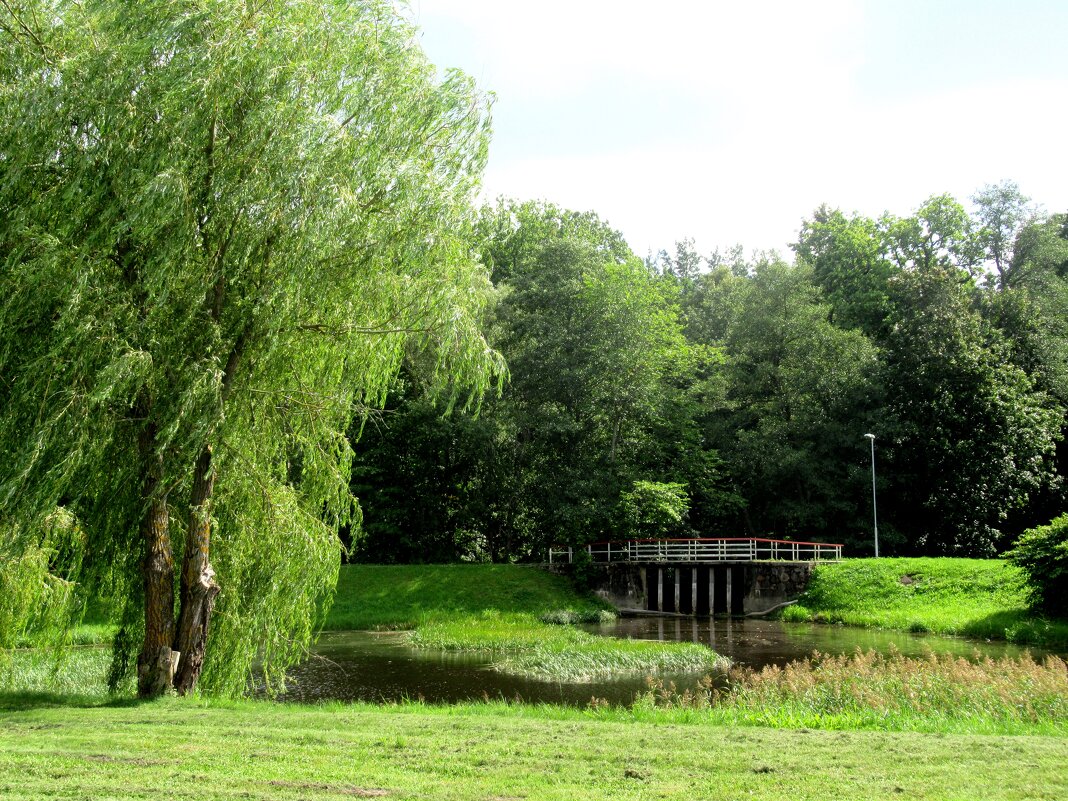 Живописный парк Аудру. Мост через реку Аудру - Елена Павлова (Смолова)
