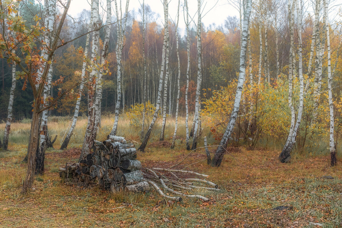 *** - Владимир Самсонов