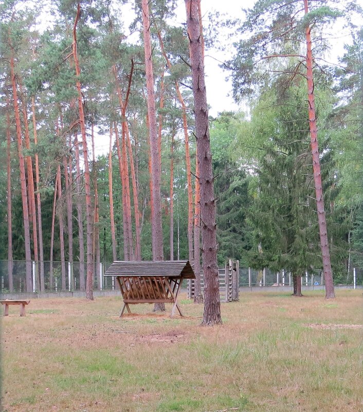 Кормушка для животных в вольерах - Вера Щукина