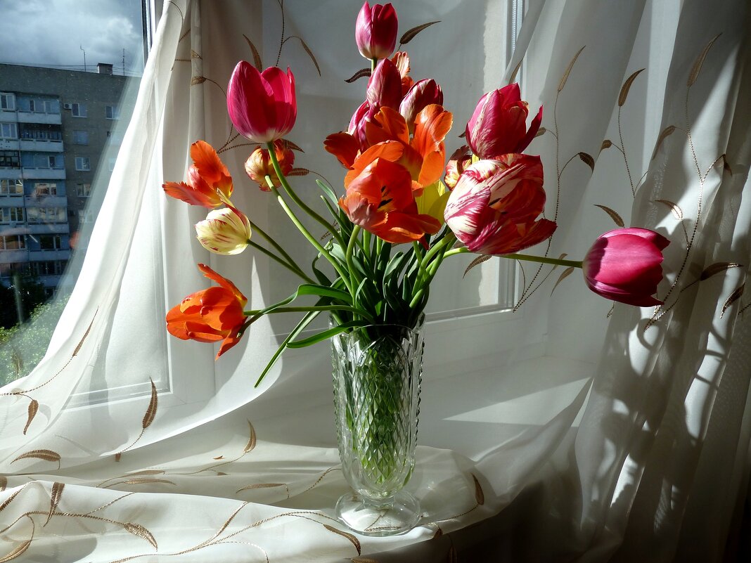 Букет тюльпанов в вазе на подоконнике с майским солнцем - Лидия Бараблина