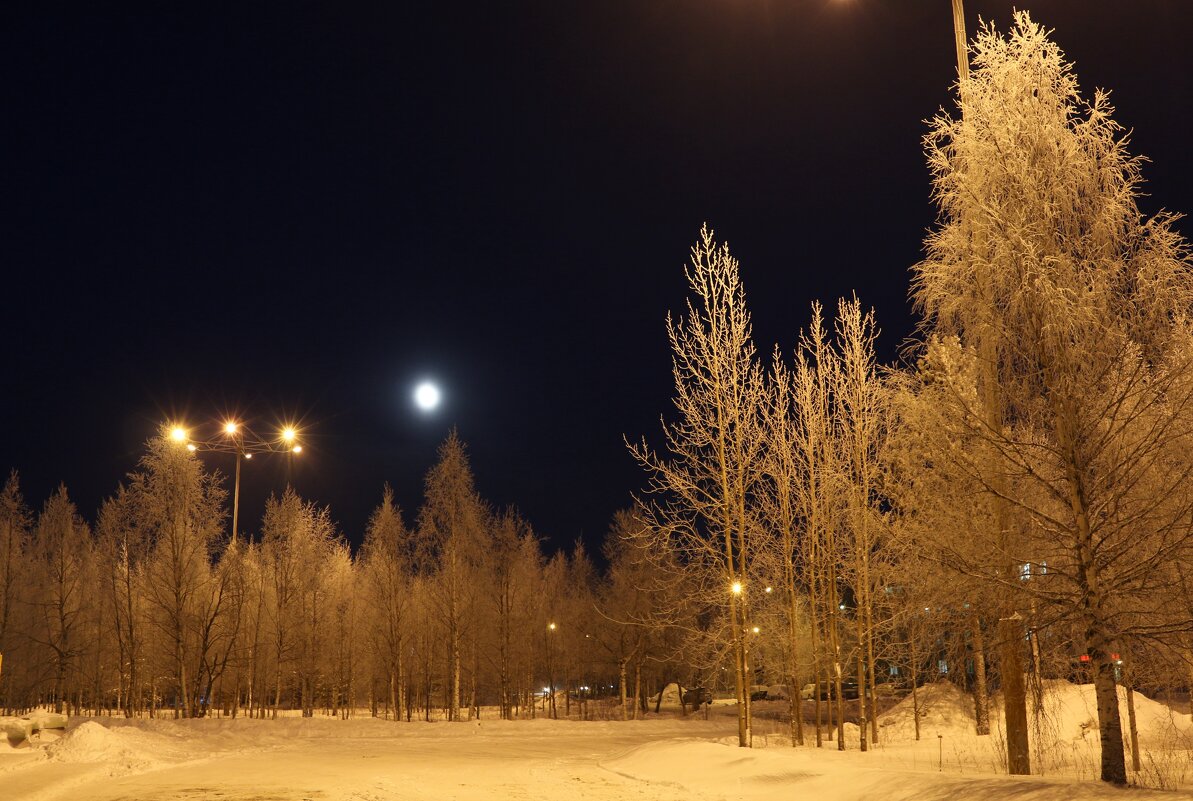 Лунная ночь - Ольга 