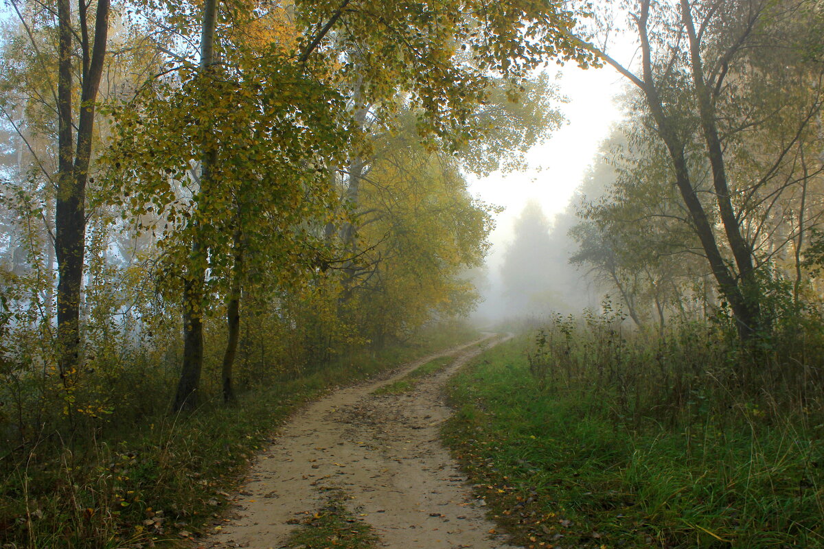 Дорога. - Сергей 