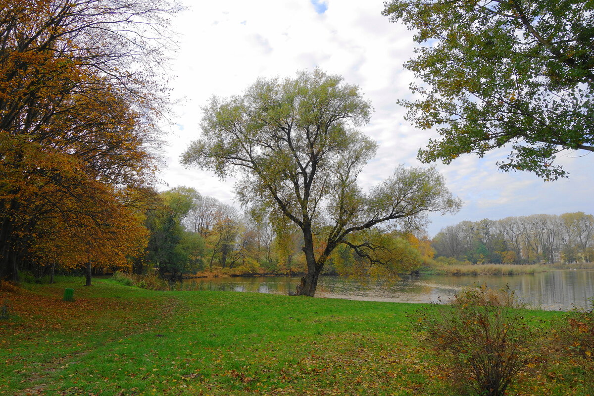 Осень в парке - Маргарита Батырева