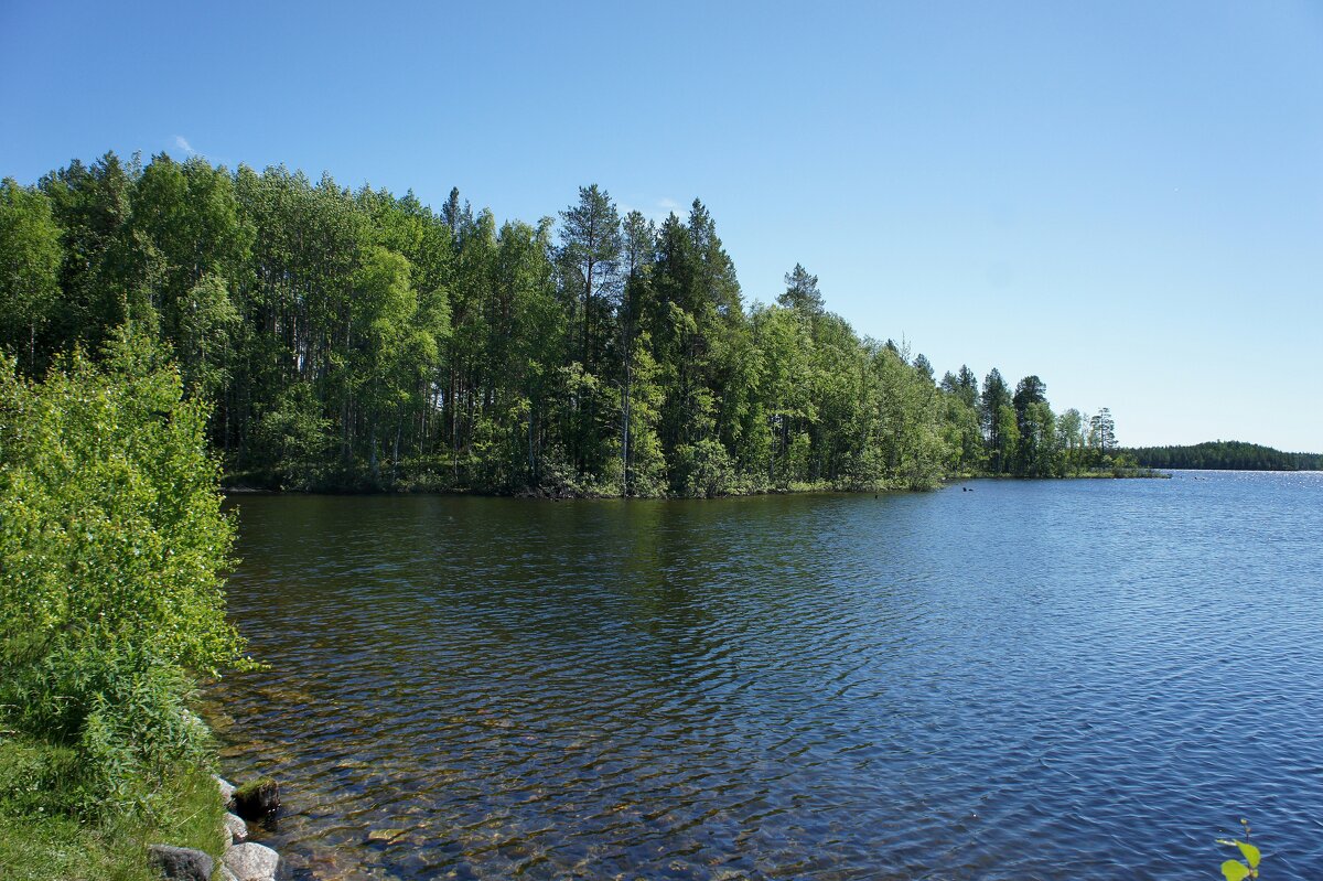 Красное (Белое) озеро - Елена Павлова (Смолова)