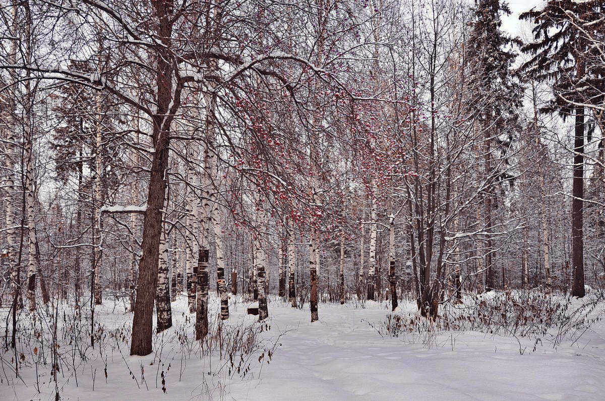 Ноябрь в Ижевске - Svetlana Galvez