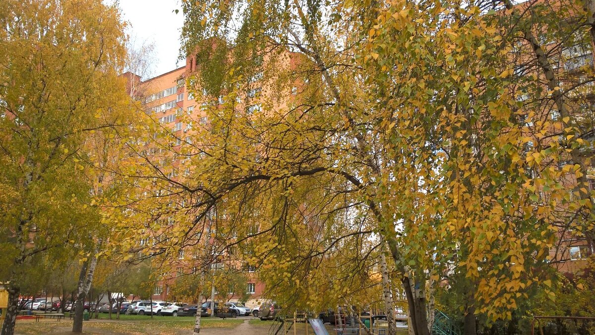 Осенью в моем городе - Елена Семигина