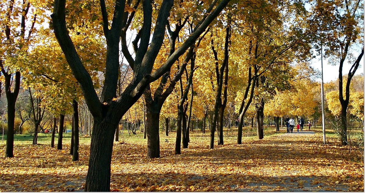 Остановись мгновение... - Людмила 