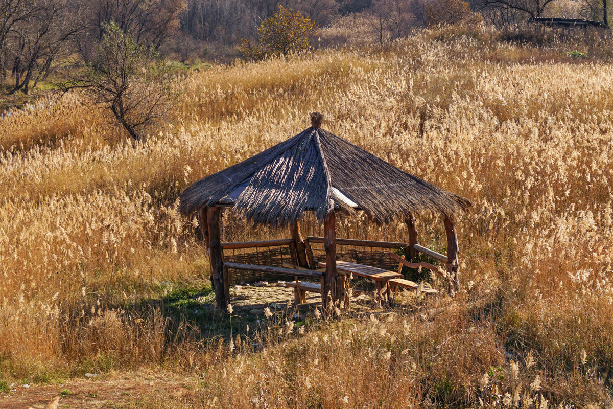 Беседка - Игорь Сикорский