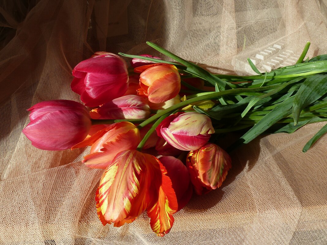 Букет майских тюльпанов на столе - Лидия Бараблина
