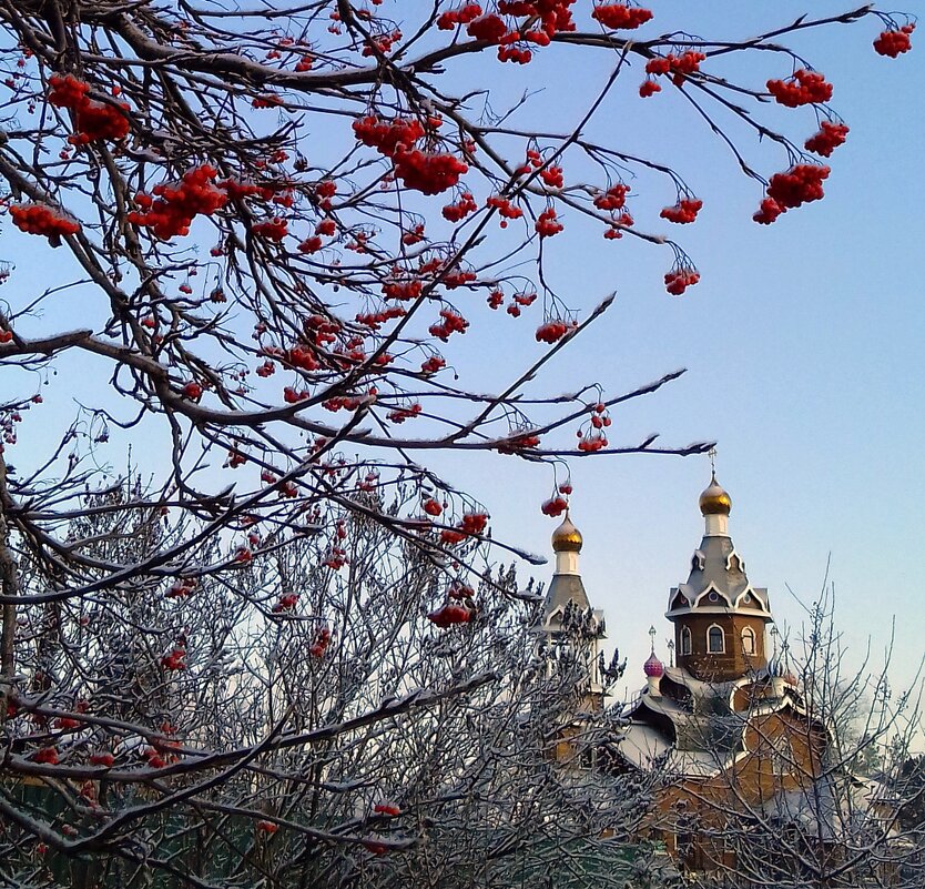 Российские будни . - Мила Бовкун