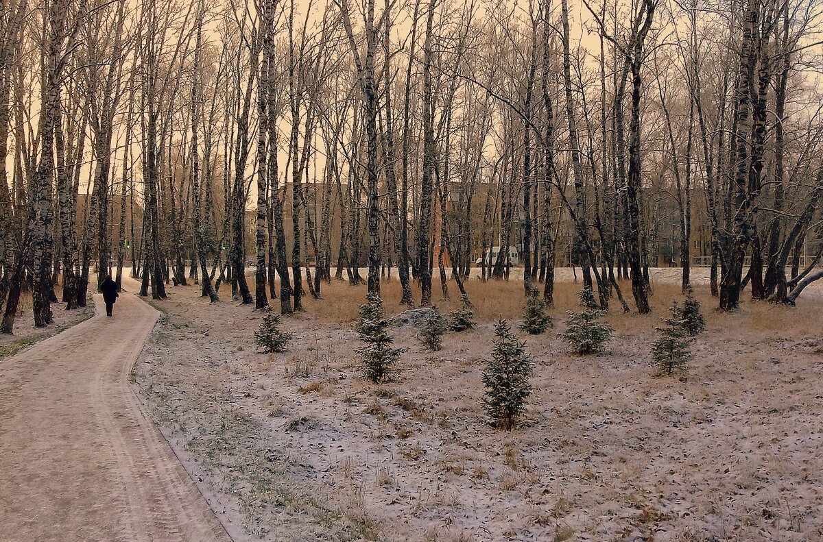 Городская аллея . - Мила Бовкун