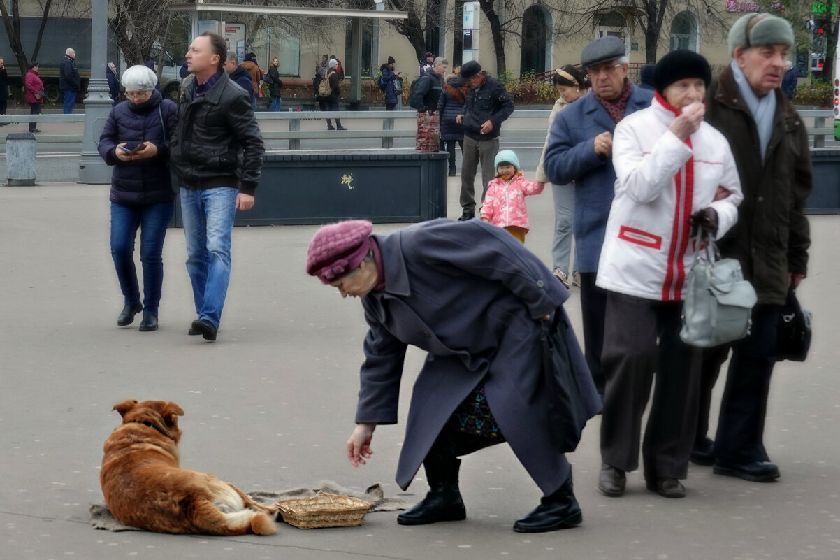 Когда работа не в радость. - Татьяна Помогалова