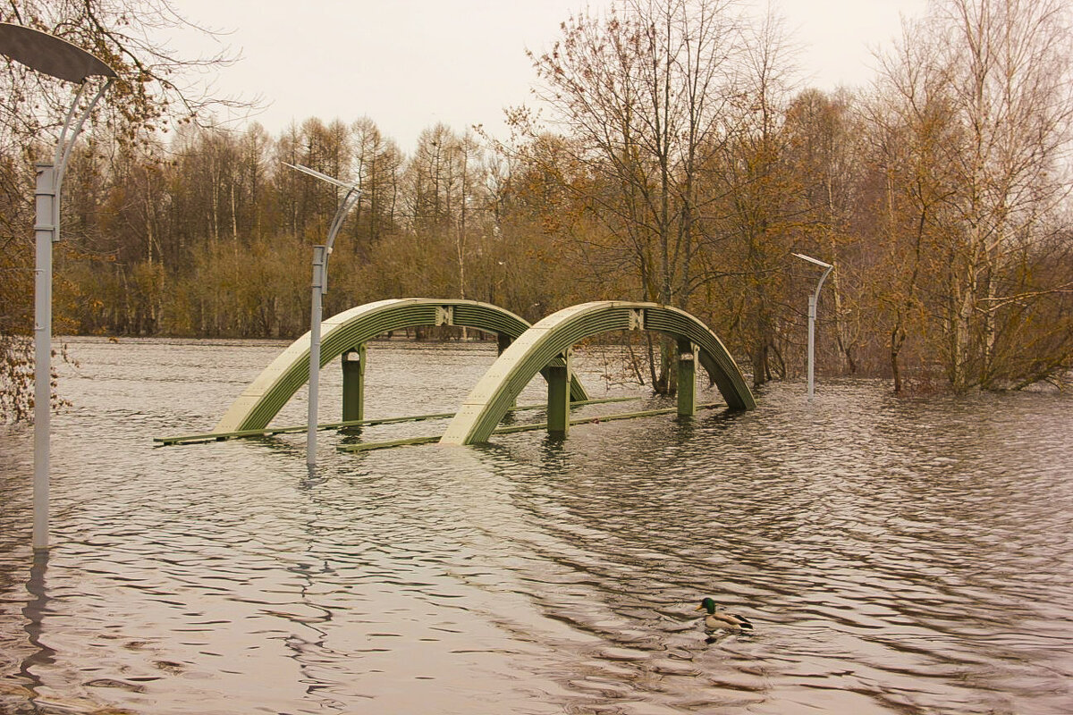 Осень затопленый мост - Сергей Кочнев