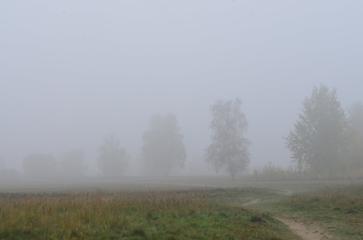 Осеннее туманное утро - Ирина Пирогова