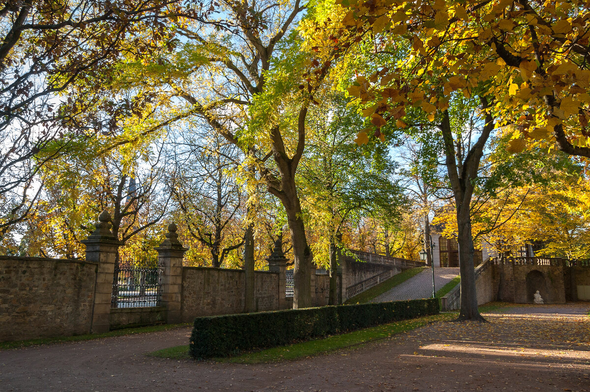 В парке городского замка Фульды (Германия) - Олег Зак